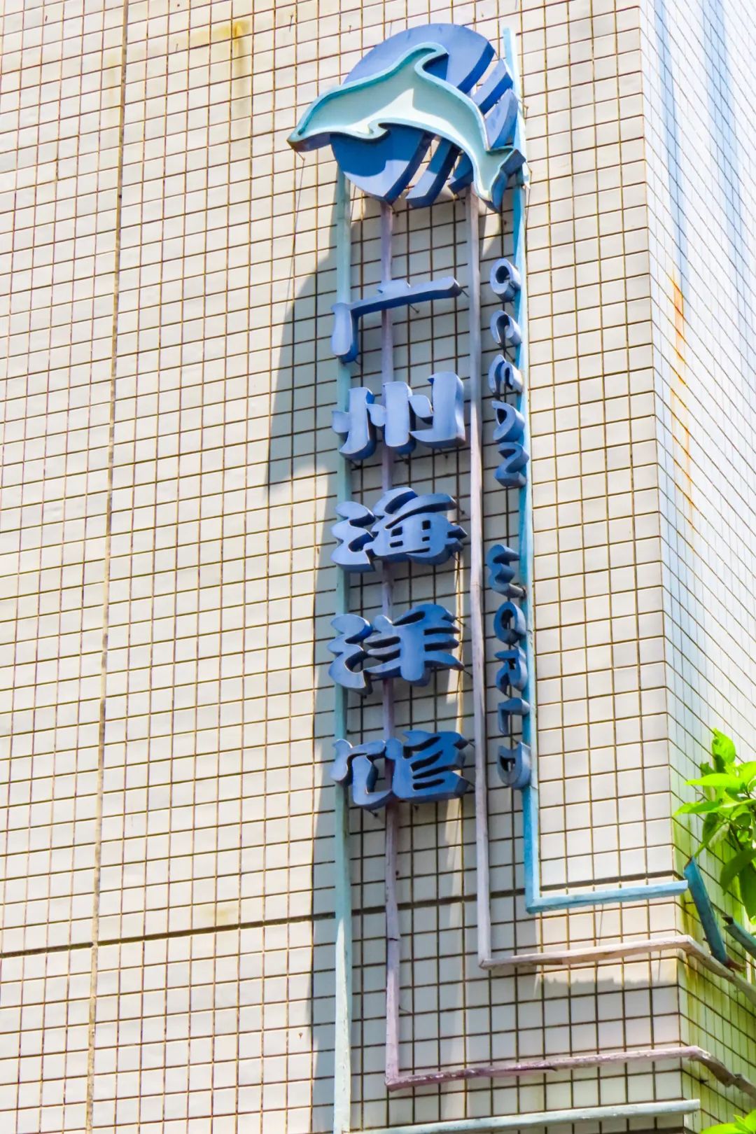 DƬ